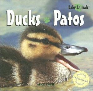 Ducks/Patos book written by Alice Twine