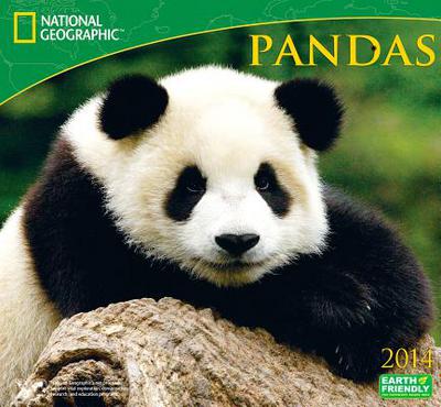 Pandas magazine reviews