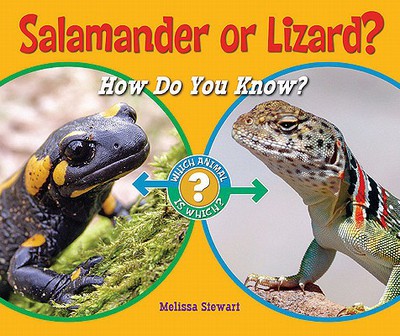 Salamander or Lizard? magazine reviews