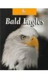 Bald Eagles book written by Karen Dudley