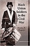 Black Union Soldiers in the Civil War book written by Hondon B. Hargrove