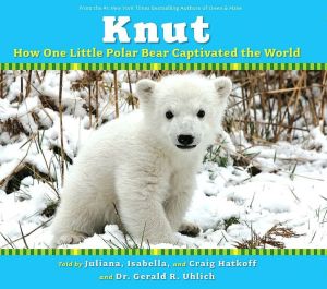 Knut: How One Little Polar Bear Captivated the World book written by Hatkoff