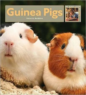 Guinea Pigs book written by Valerie Bodden