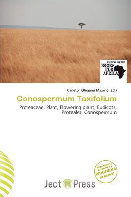 Conospermum Taxifolium magazine reviews