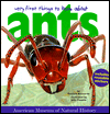 Ants magazine reviews