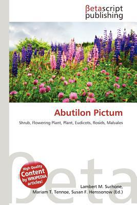 Abutilon Pictum magazine reviews