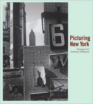 Picturing New York: Photographs from the Museum of Modern Art book written by Sarah Meister