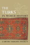 Turks in World History magazine reviews