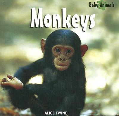 Monkeys magazine reviews