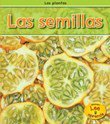 Las Semillas / Seeds magazine reviews
