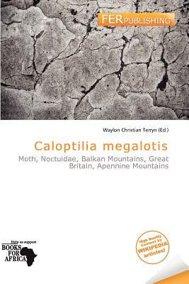 Caloptilia Megalotis magazine reviews