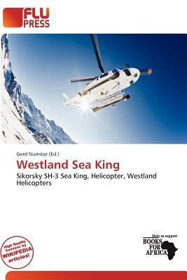 Westland Sea King magazine reviews