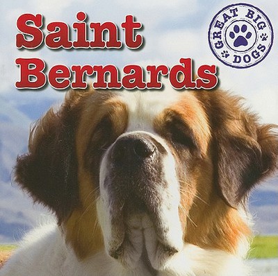 Saint Bernards magazine reviews