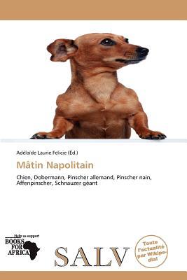 M Tin Napolitain magazine reviews