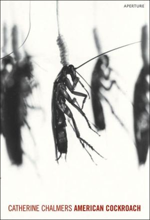 American Cockroach book written by Catherine Chalmers