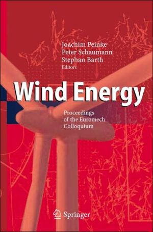 Wind Energy: Proceedings of the Euromech Colloquium book written by Joachim Peinke