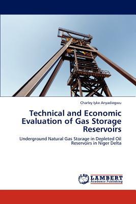 Technical and Economic Evaluation of Gas Storage Reservoirs magazine reviews