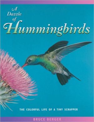 Dazzle of Hummingbirds magazine reviews