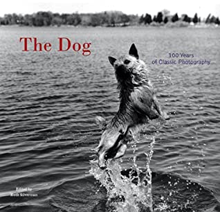 The Dog magazine reviews