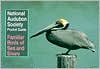 National Audubon Society Pocket Guide to Familiar Birds of Sea and Shore magazine reviews
