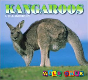 Kangaroos book written by Jill Anderson