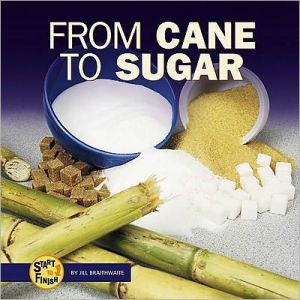 From Cane to Sugar book written by Jill Braithwaite