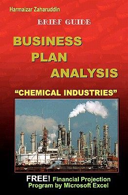 Business Plan Analysis for 