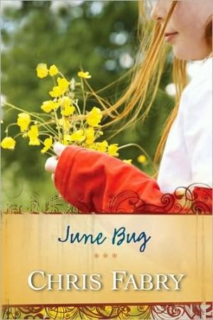 June Bug book written by Chris Fabry