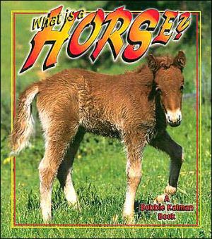 What Is a Horse? book written by Bobbie Kalman