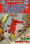 Flash Comics # 137