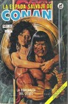 La Espada Salvaje de Conan (Mexico) # 39