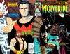 Marvel Comics Presents # 40