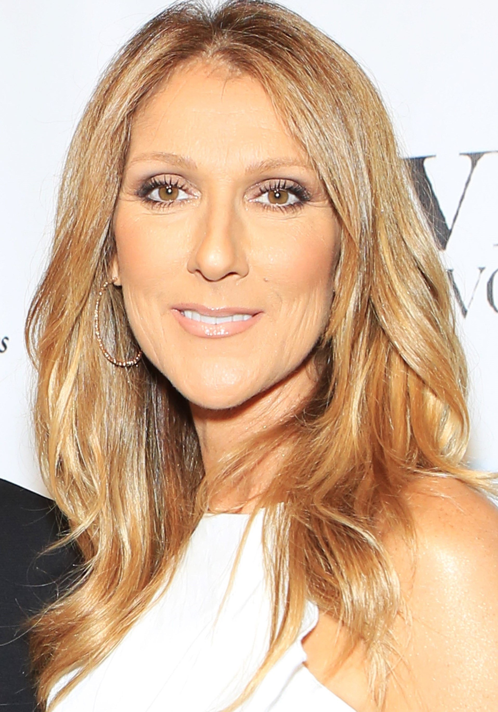 Celine Dion Celebrity Biography. Star Histories at WonderClub