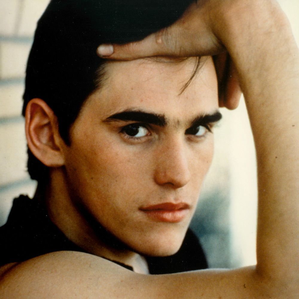 Matt Dillon Celebrity Biography. Star Histories at WonderClub
