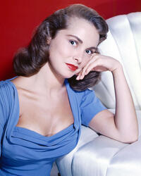 Janet Leigh Celebrity Star