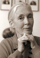 Jane Goodall Celebrity Star