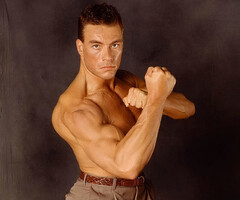 Jean Claude Van Damme Celebrity Star