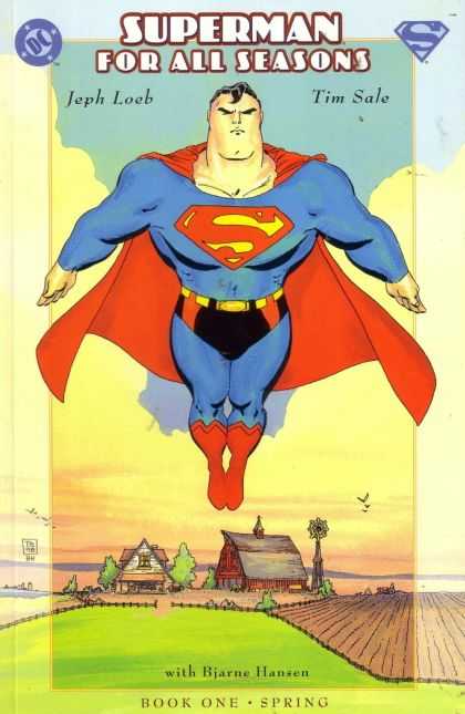 Superman For All Seasons Comic Book Back Issues by A1 Comix