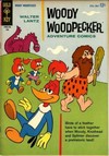 Woody Woodpecker # 181