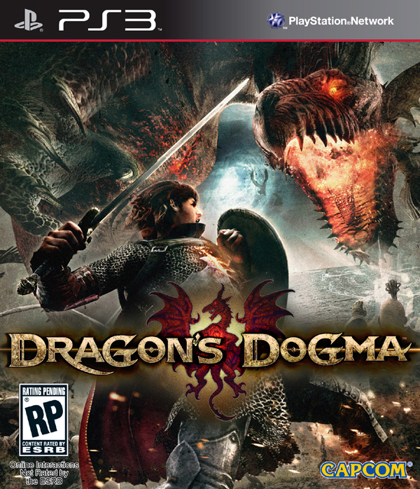 Dragon's Dogma Video Game Back Title by WonderClub