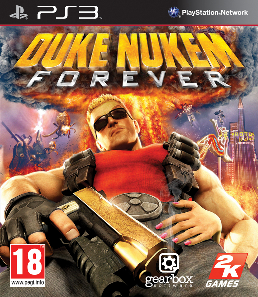 Duke Nukem Forever Video Game Back Title by WonderClub